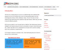Tablet Screenshot of bidw.org